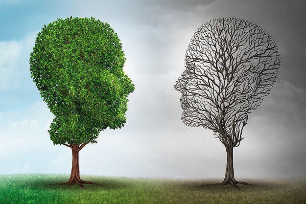 How To Tell Between The Different Stages Of Dementia How To Tell Between The Different Stages Of Dementia