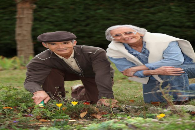 6 Ways Elderly Communities In Hope, IN Help You Develop A Hobby